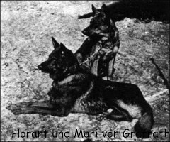 Horant und Mari von Grafrath (Mari sitzend) die Grndereltern unserer SH